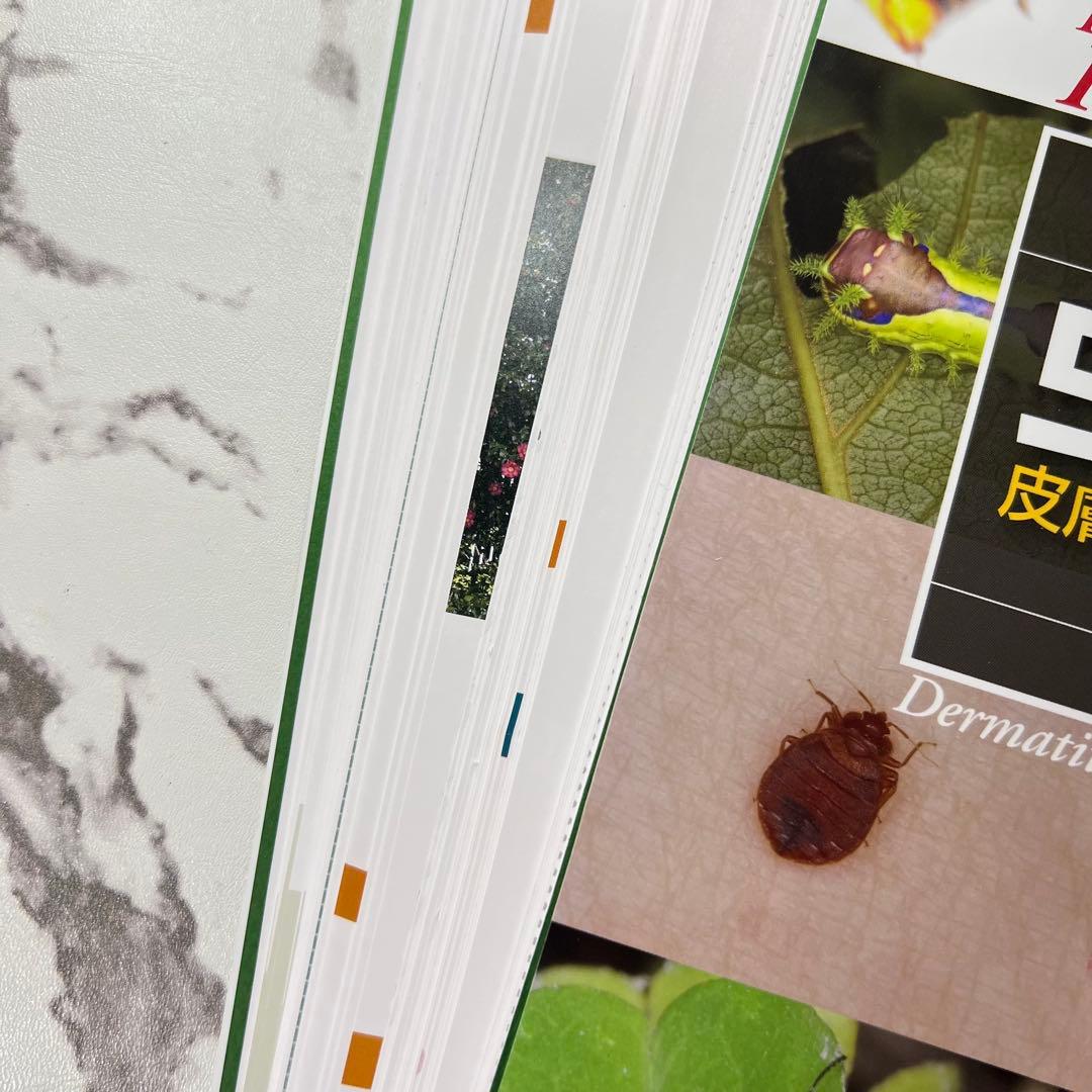 【裁断済み】Dr.夏秋の臨床図鑑 虫と皮膚炎