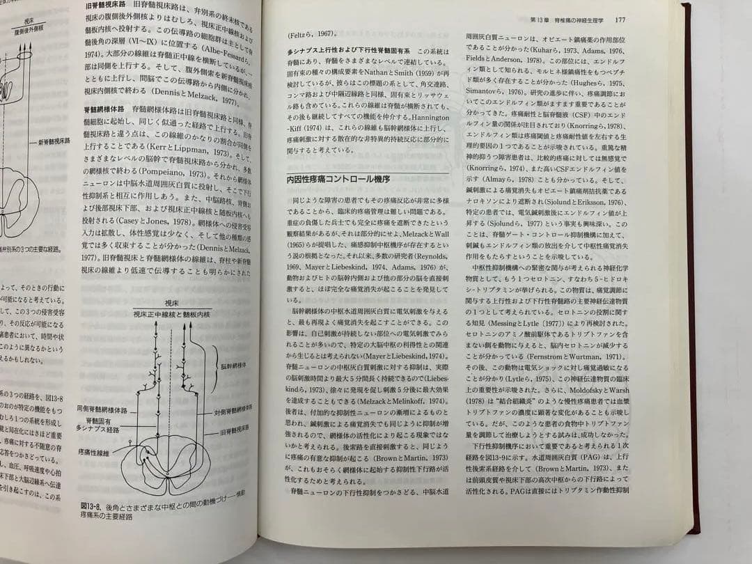 【最終価格】カイロプラクティック総覧