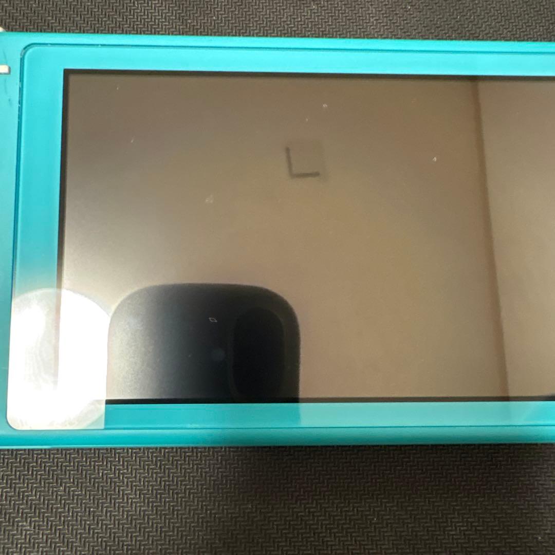 Nintendo Switch Lite本体　ケース付き