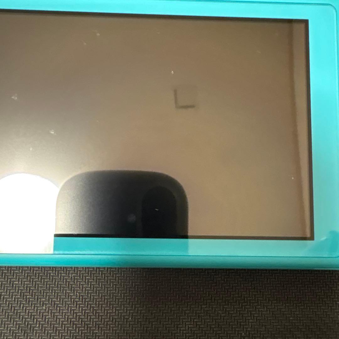 Nintendo Switch Lite本体　ケース付き