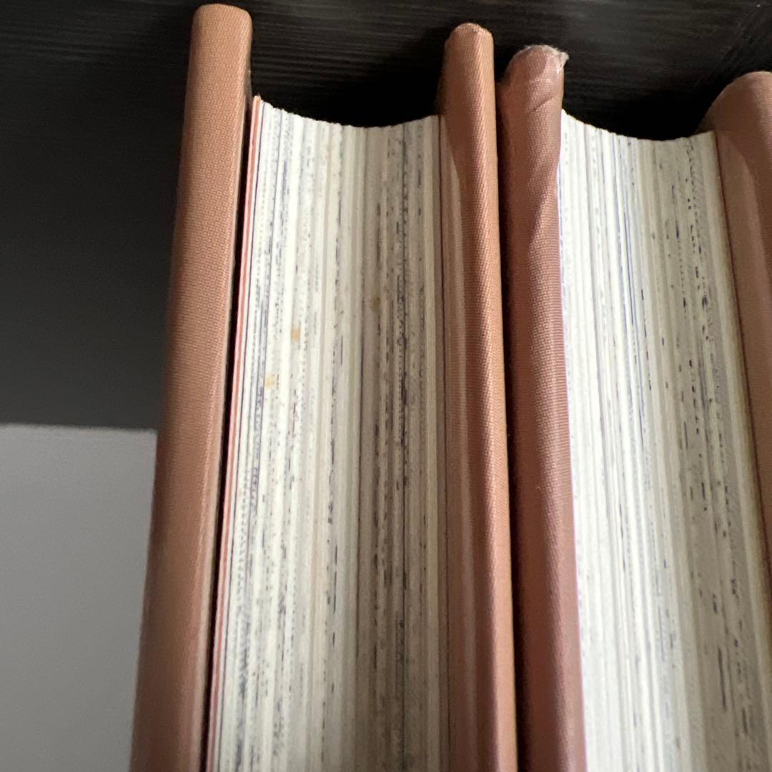 【シミや汚れあり】いがらしゆみこ　赤毛のアンシリーズ５冊セット
