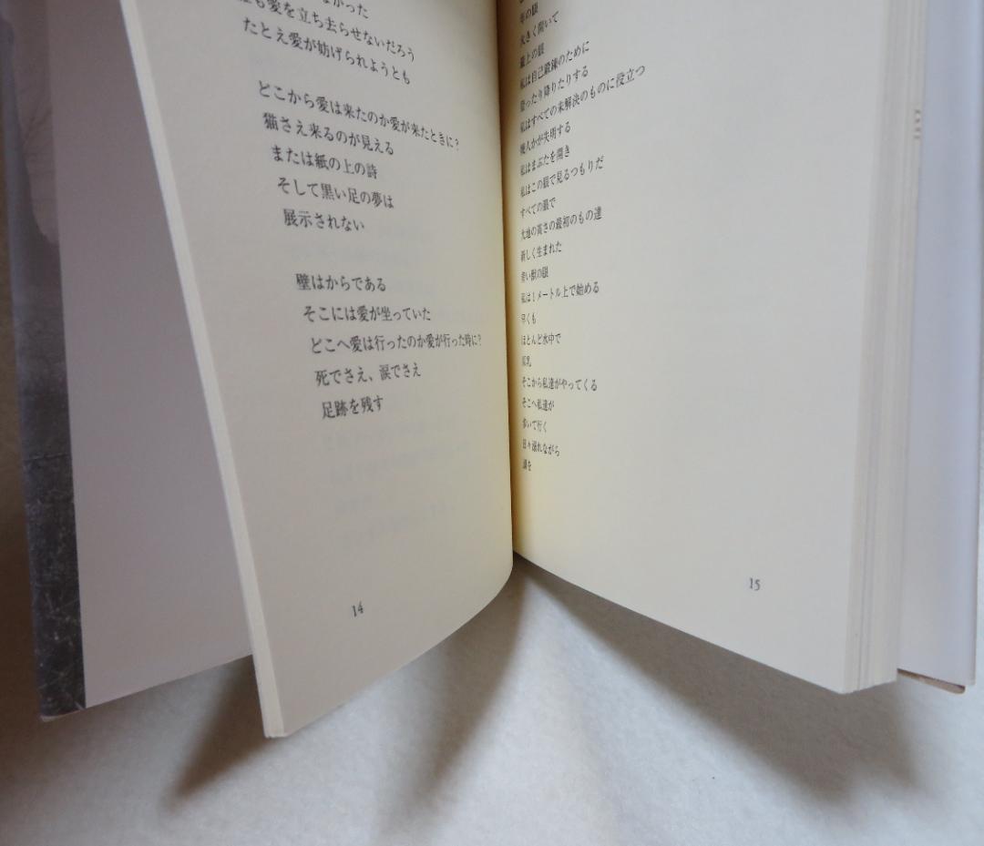 Hilde Demun 詩集 樹はけれども咲く　ヒルデ・ドミ-ン詩集