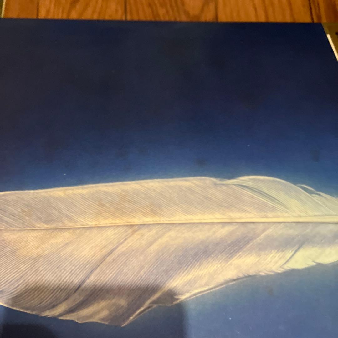 森田童子　LP レコード　4枚セット　まとめ売り　アナログ盤　レトロ