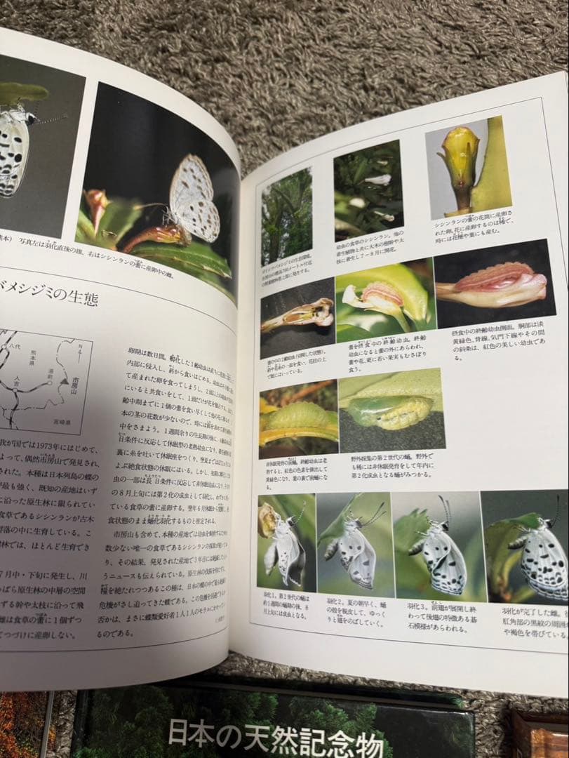 ⭐︎日本の天然記念物⭐︎全6巻⭐︎講談社⭐︎