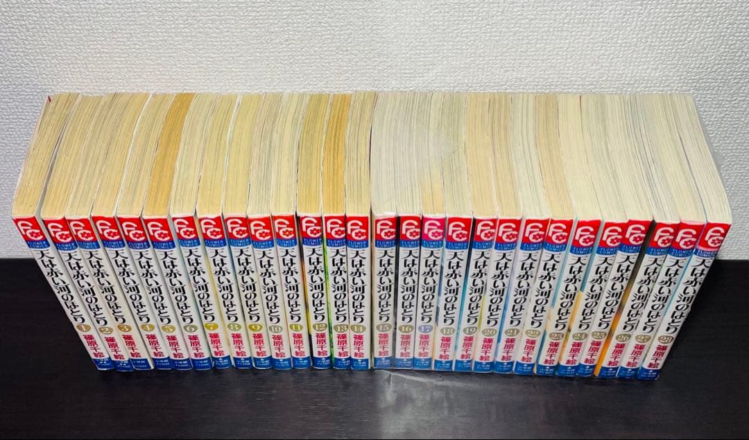 天は赤い河のほとり 全28巻 全巻セット