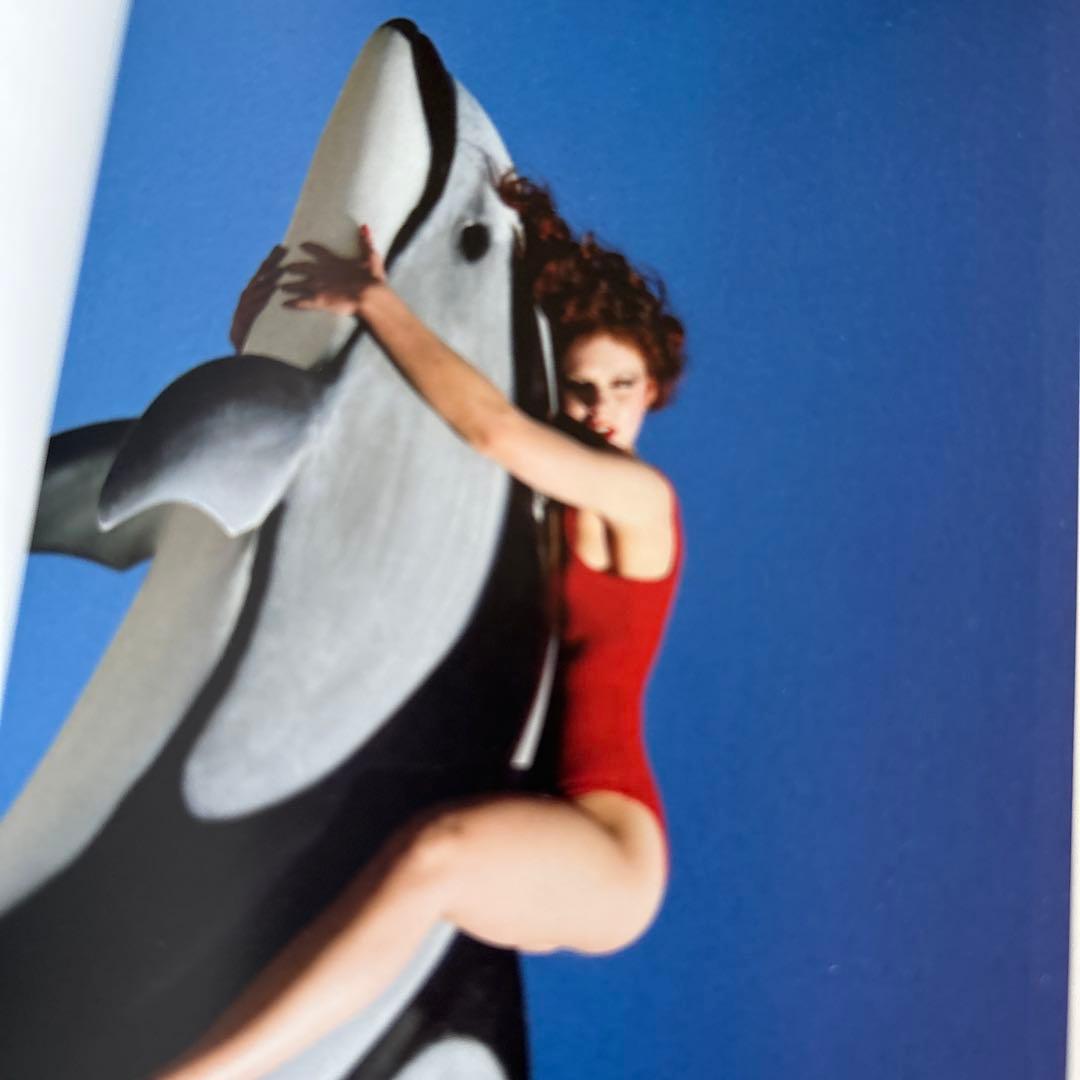 ギイ・ブルダン 写真集Guy Bourdin (Photofile)