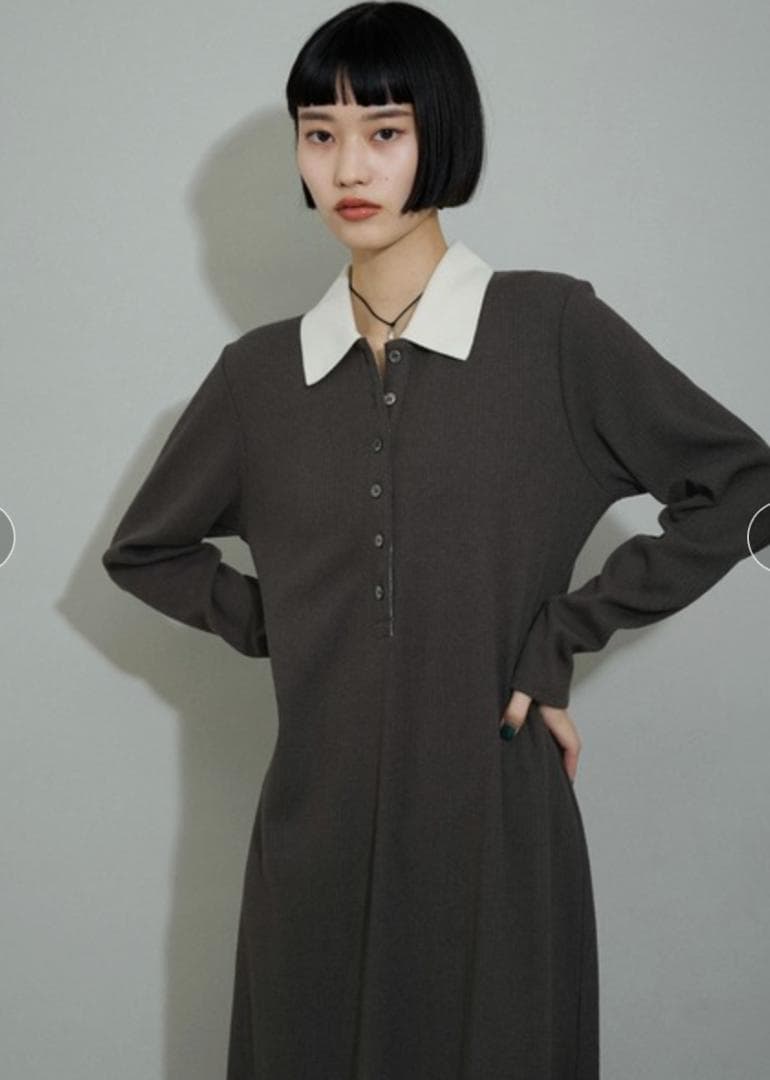 美品 アダムエロペ WEB限定 ポロシャツワンピース ダークブラウン F