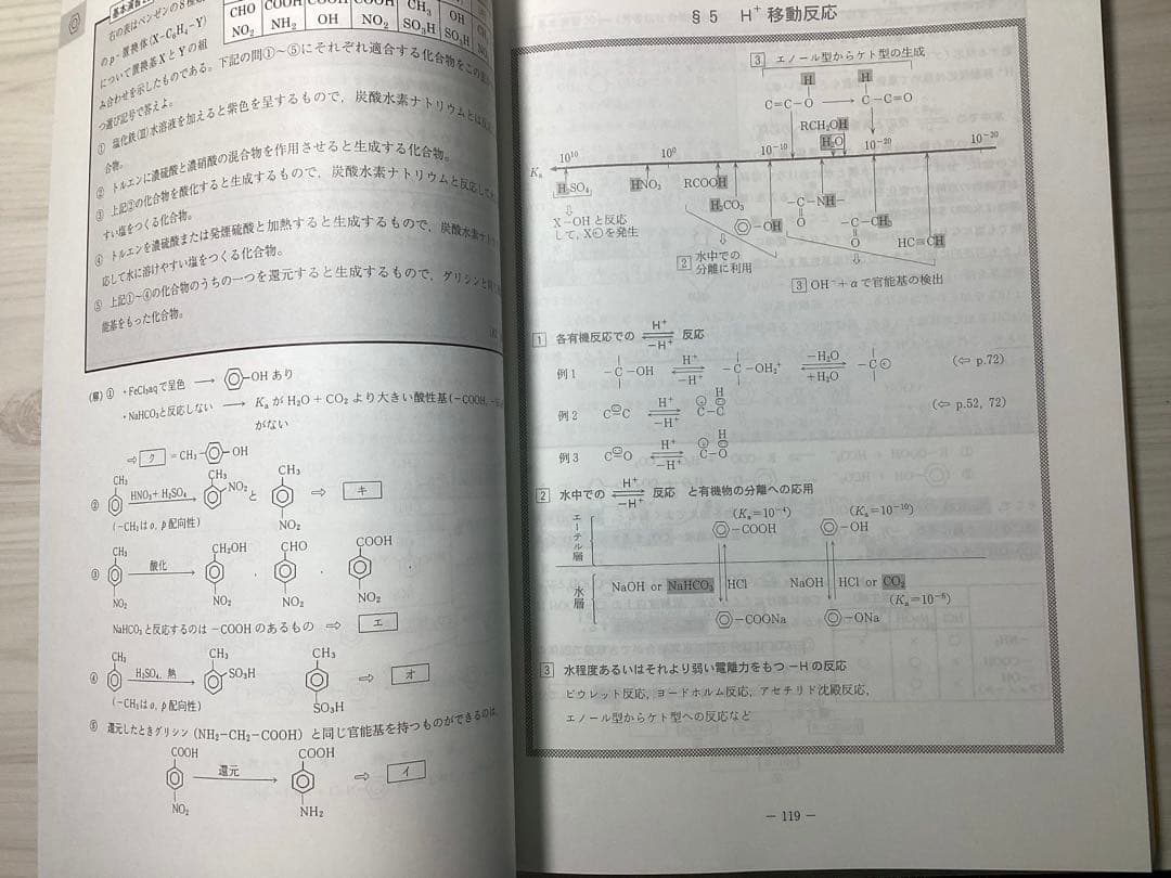 駿台予備校 深く学べる有機化学 2025年度 夏期講習