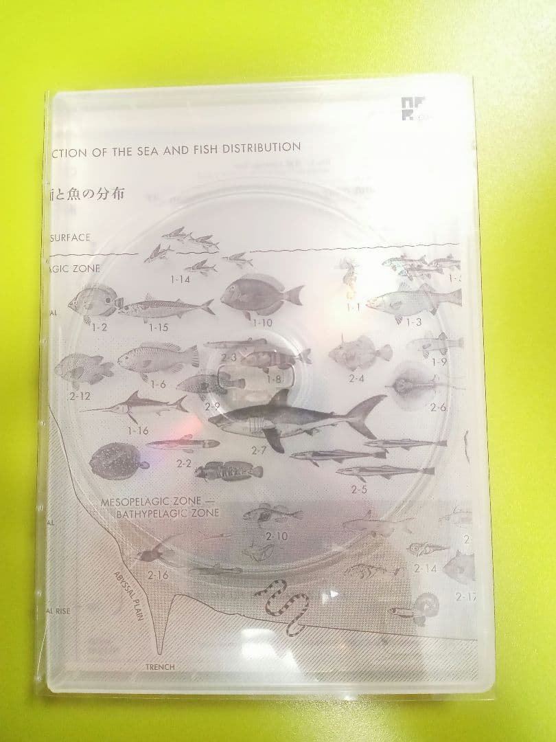 【美品】魚図鑑　Book of Fishes サカナクション　2CD＋BOOK