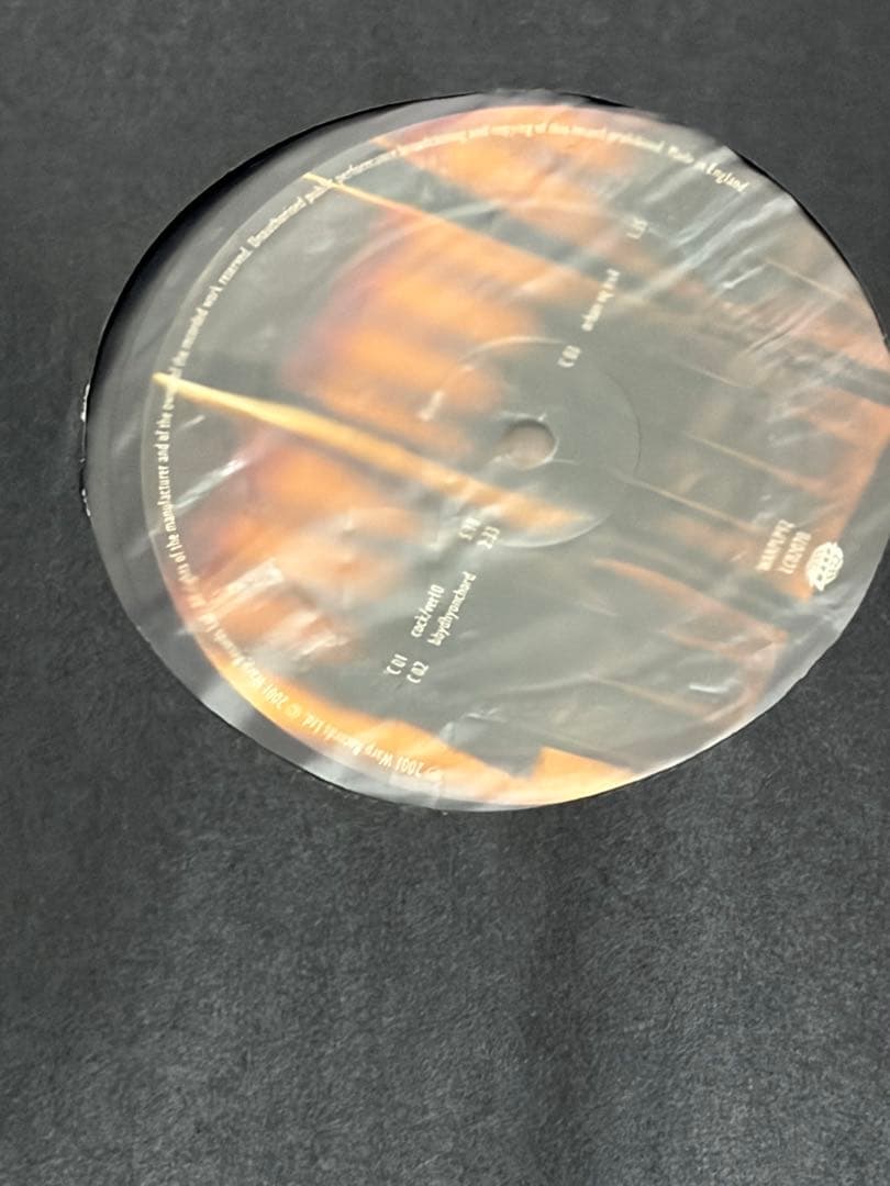 aphex twin drukqs レコード