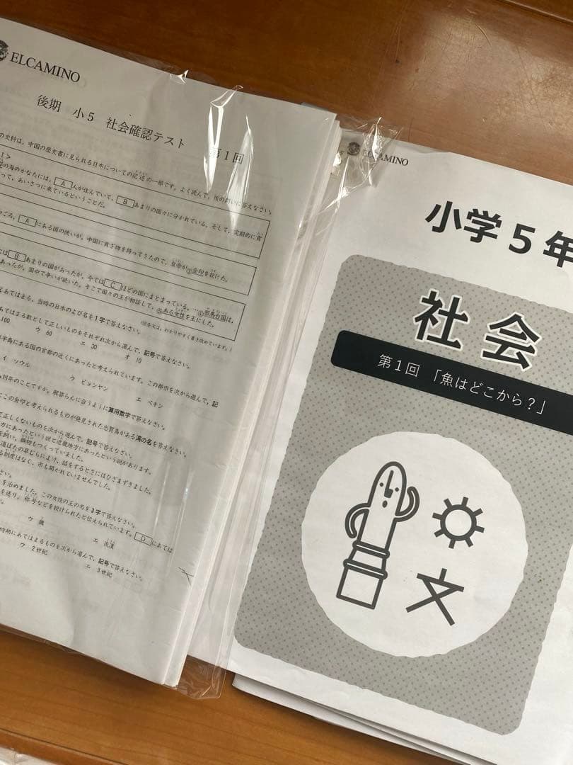 【中学受験】エルカミノ新小5社会1年分テキスト38部＋確認テスト31部