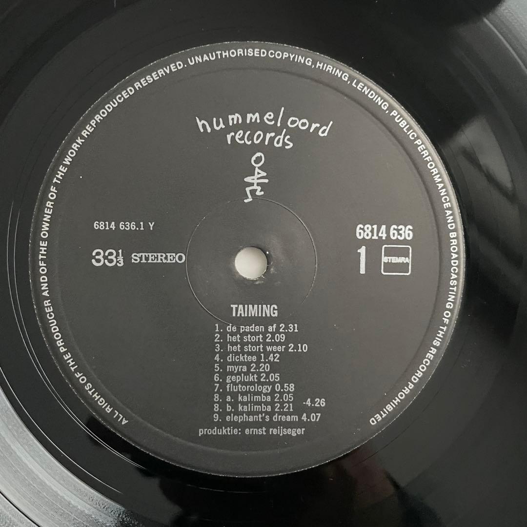 洋楽 Ernst Reijseger - Taiming Alan Gunga