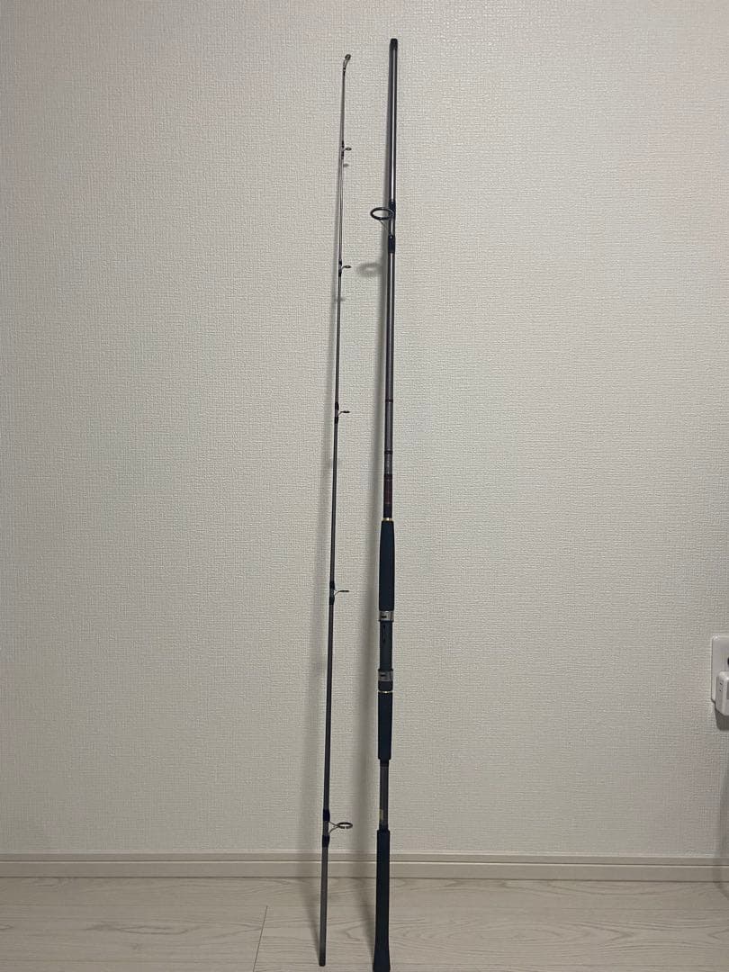 Daiwa JIGCASTER 96M ショアジギ スピニング