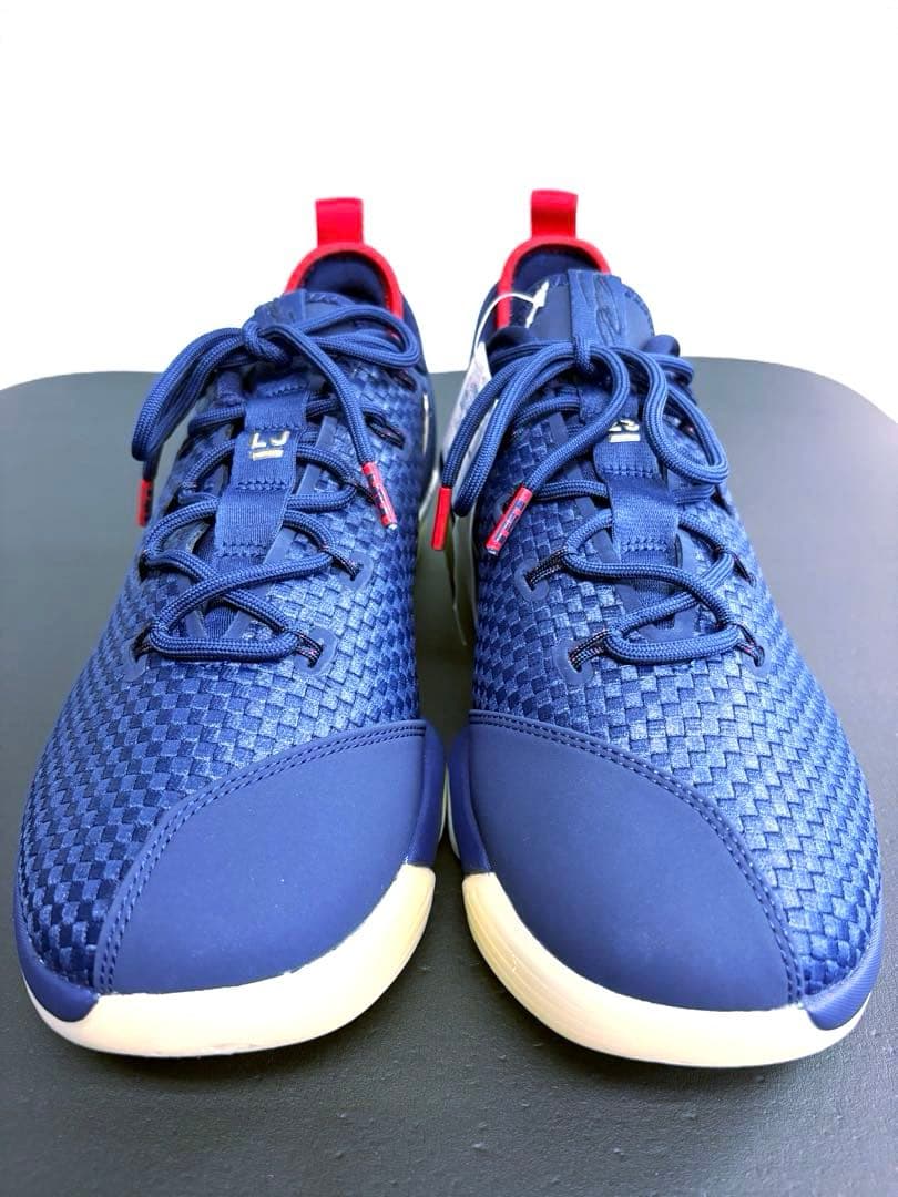 シューズ(男性用) NIKE LEBRON XIV LOW EP \"USA\" 28cm