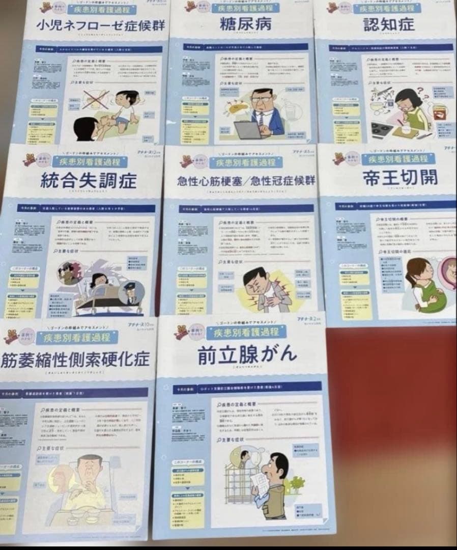 看護 実習セット 国試 アセスメント、関連図、プチナース 情報収集 他