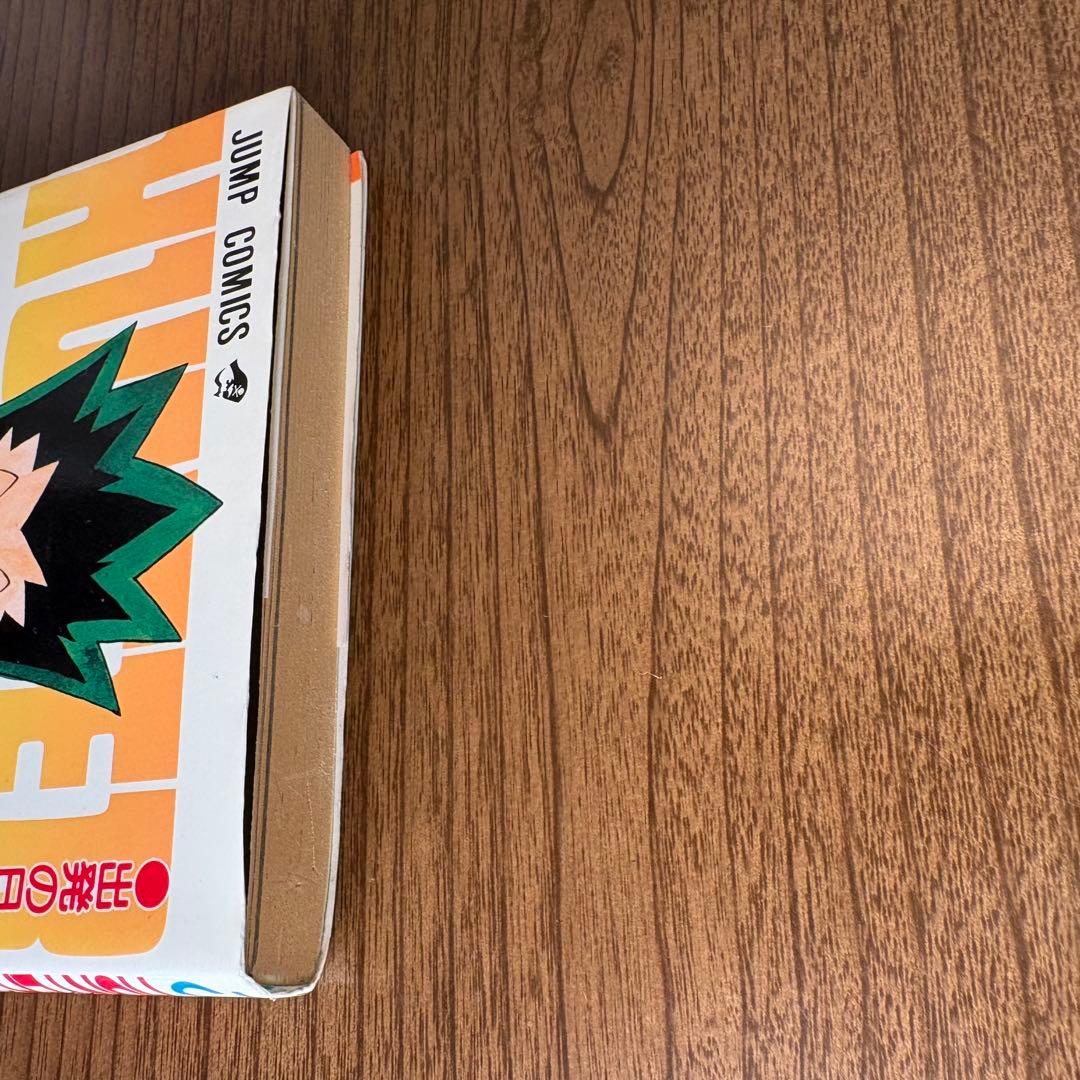【激レア】ハンター×ハンター 1巻 初版 HUNTER×HUNTER 冨樫義博