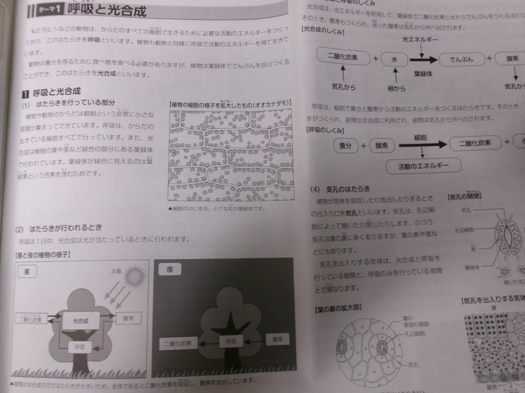 サピックス＊デイリーサピックス＊５年＊理科／全３７回完全版＊２０２４年～書込少