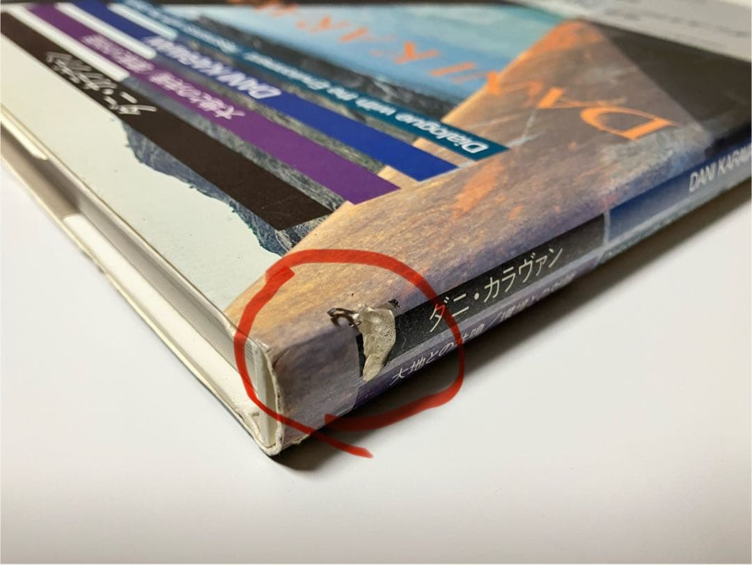ダニ・カラヴァン「大地との共鳴/環境との対話」（大型本）