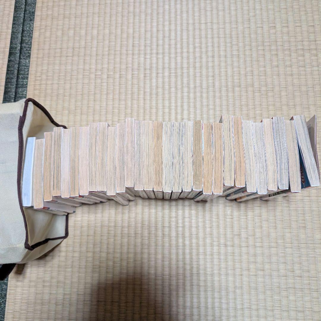 天は赤い河のほとり全28巻セット
