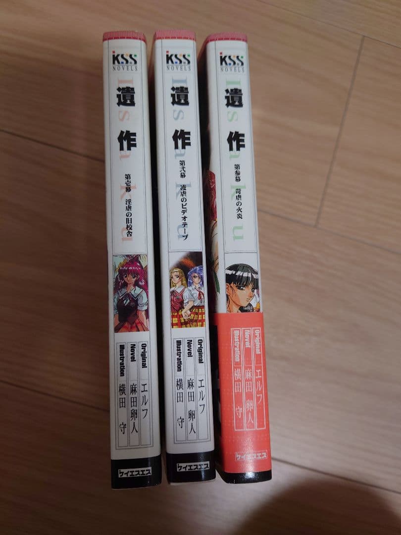 【まとめ売りのみ】遺作 全3巻 ケイエスエスノベルズ
