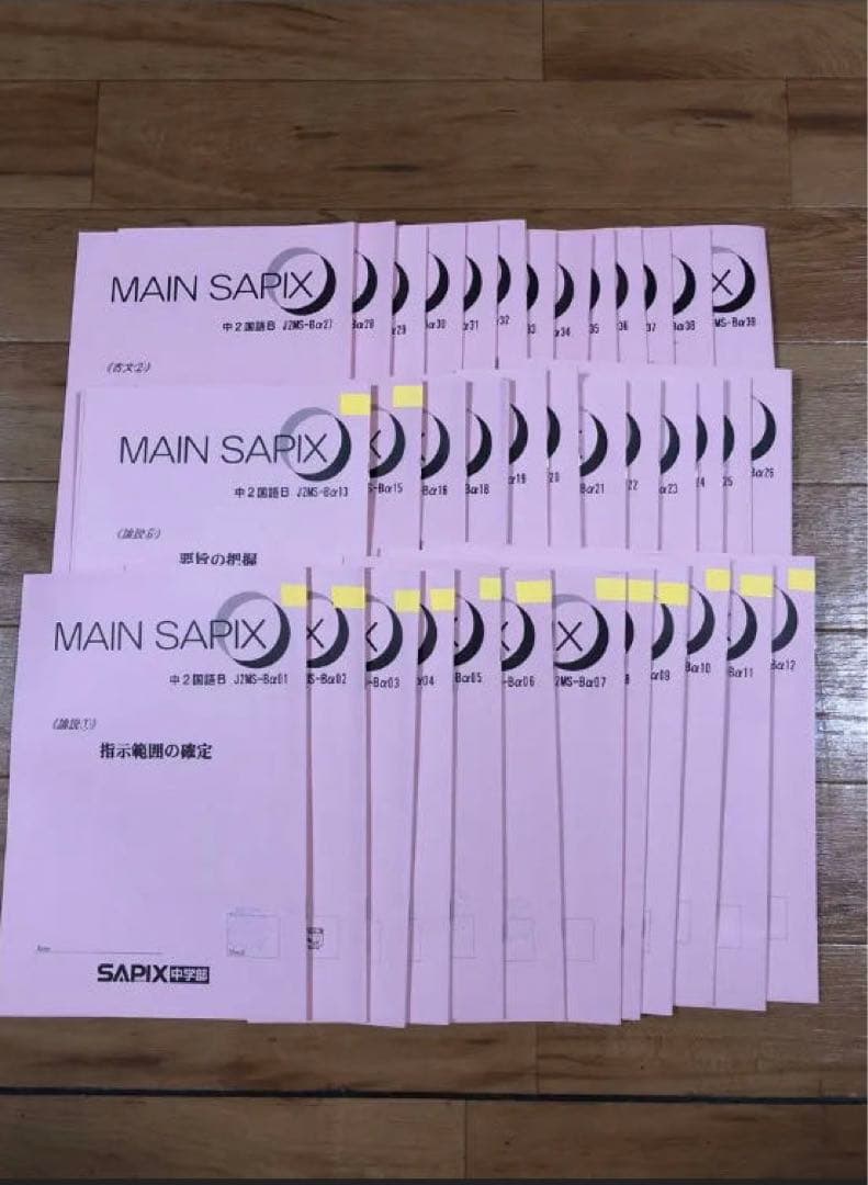 【SAPIX中学部】中２国語　MAIN SAPIX・春・夏・冬期講習・漢字の練習