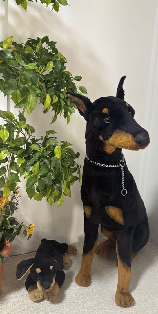 犬　ドーベルマン　リアル　ジョックライン 高さ約88cm イタリア製