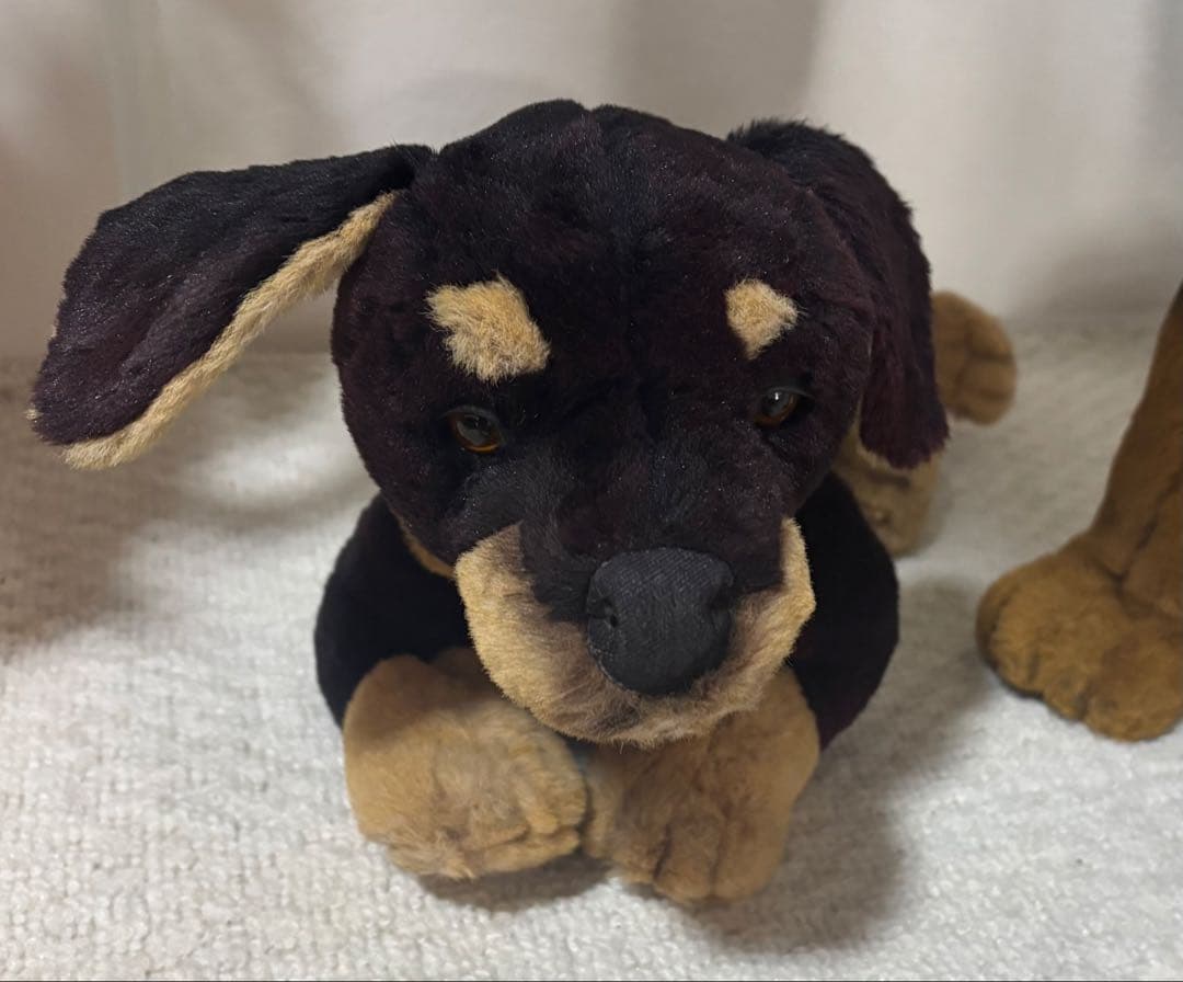 犬　ドーベルマン　リアル　ジョックライン 高さ約88cm イタリア製