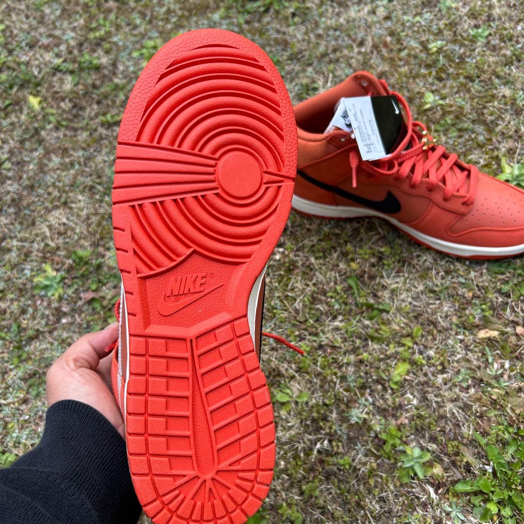 Nike ダンクHiレトロ