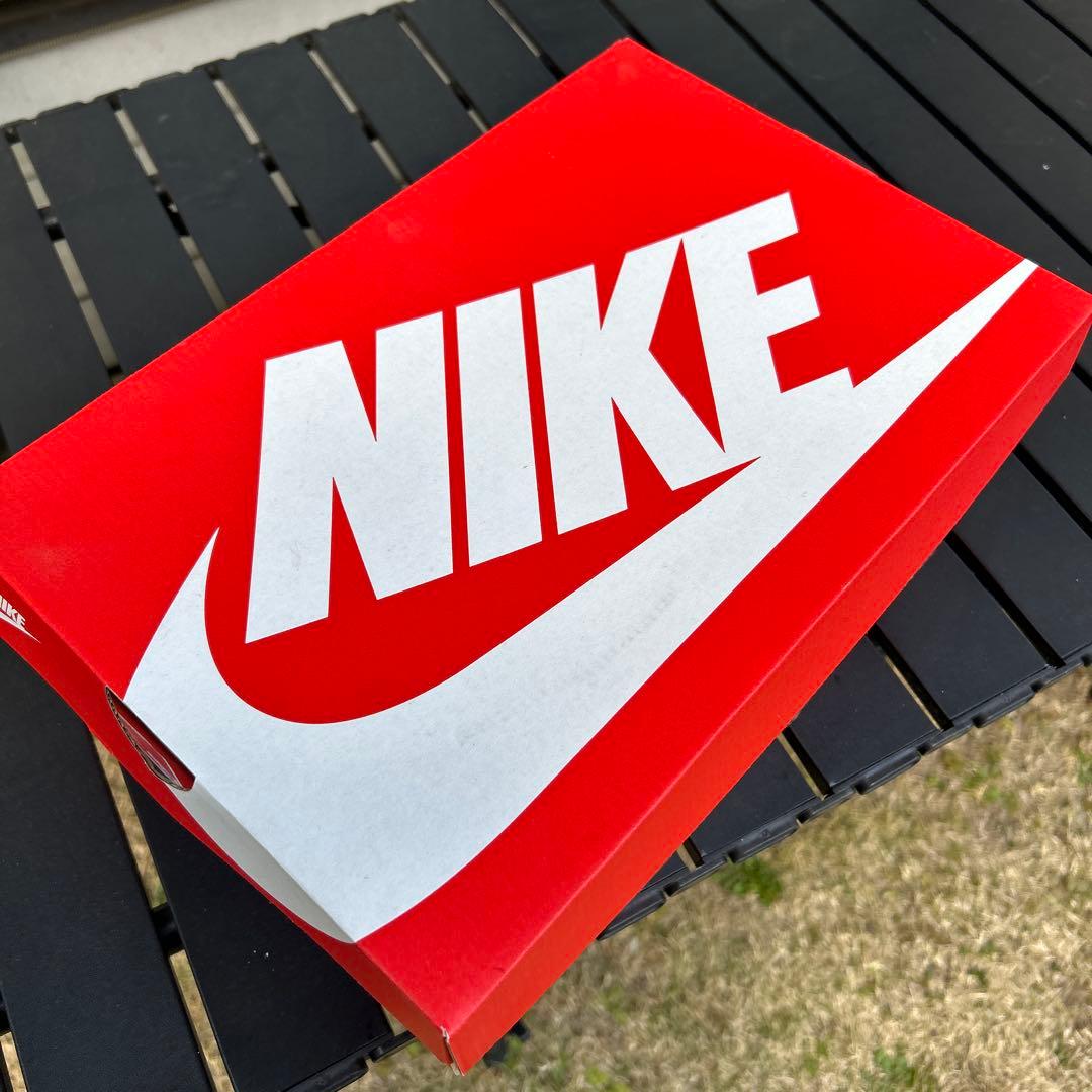 Nike ダンクHiレトロ
