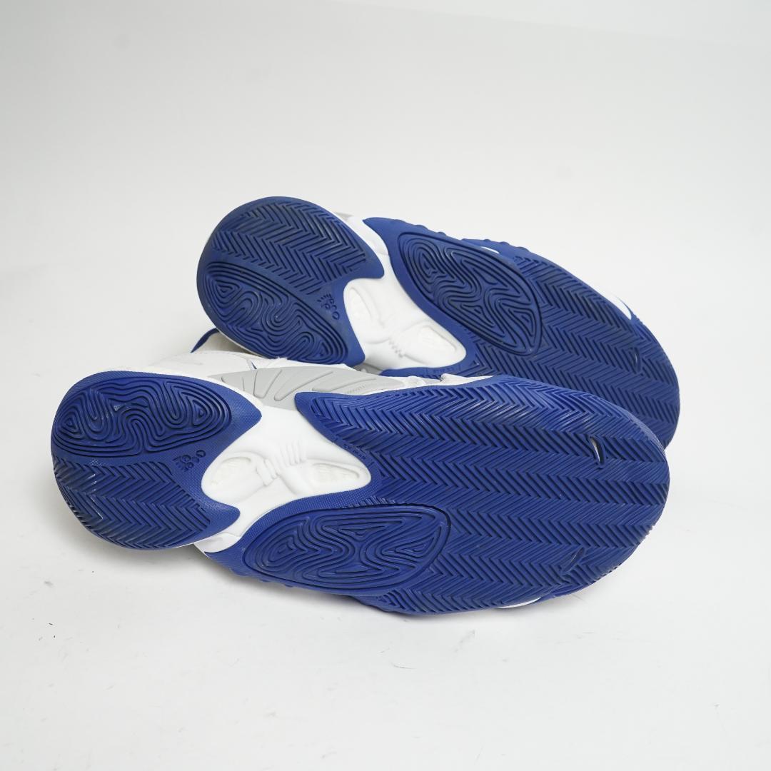 【美品】adidas ファレル・ウィリアムス×アディダス クレイジー 28cm