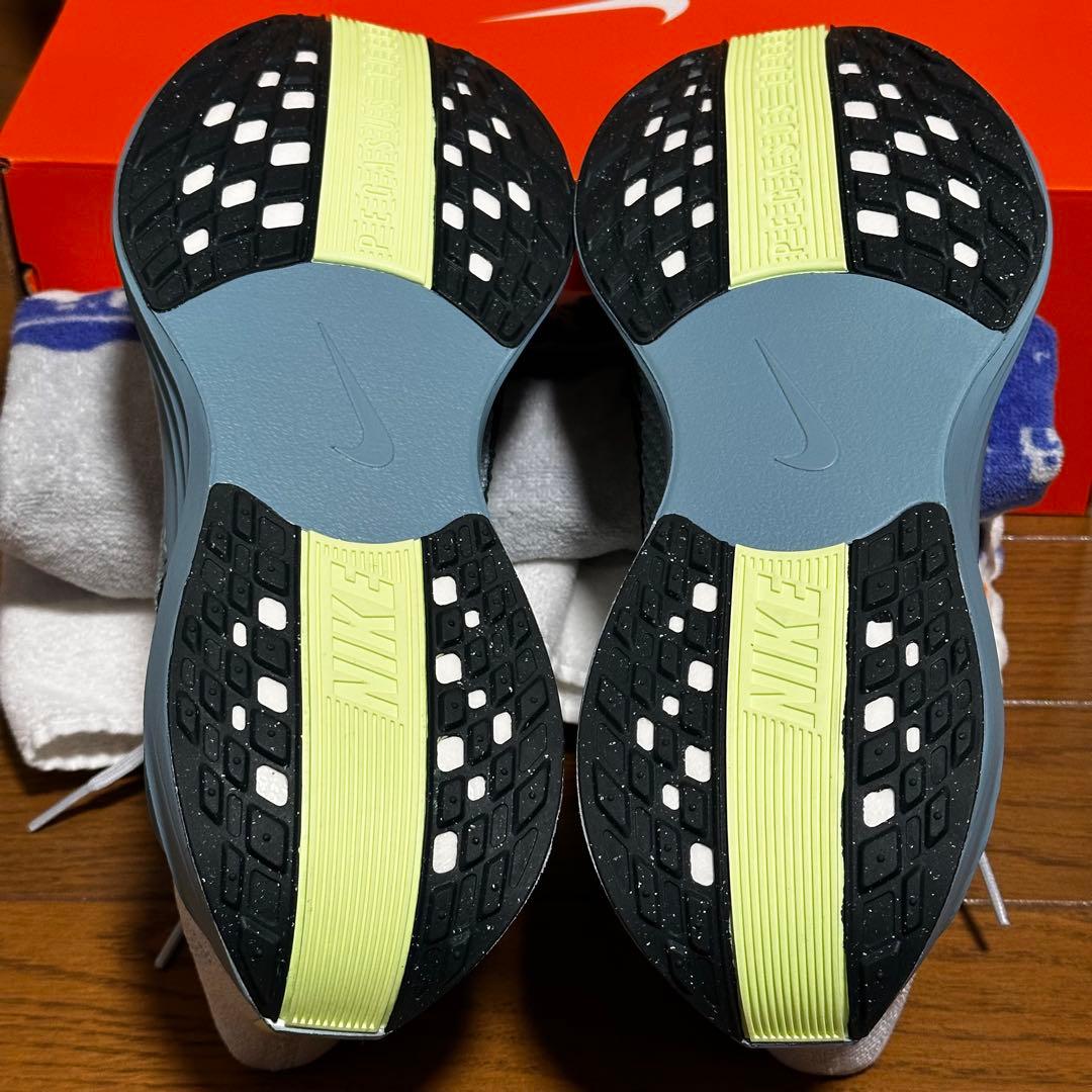 【新品】NIKE PEGASUS PLUS ペガサスプラス　27.0cm