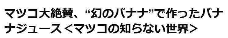 100cm=世界で2番目と記事◆ドワーフ・ライチ。バナナ苗◆食味優秀AAA耐寒強
