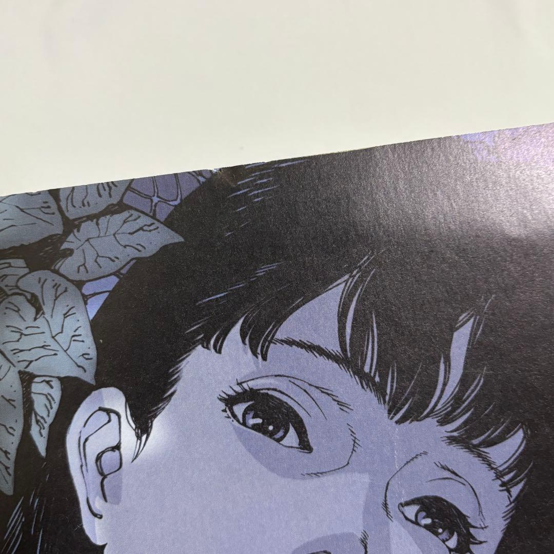 PERFECT BLUE パーフェクトブルー パンフレット