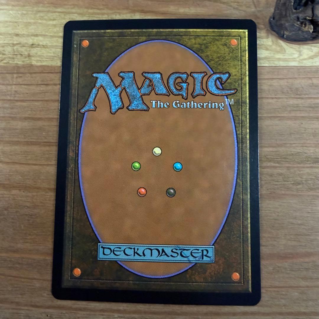 野生の雑種犬 Wild Mongrel 日本語 foil MTG
