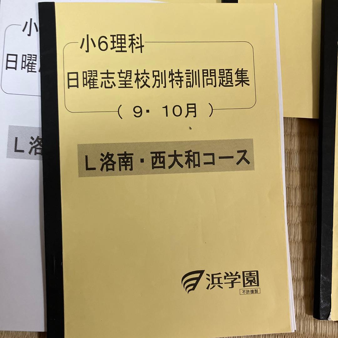 小6女子算数・理科特訓問題集 浜学園 洛南 西大和