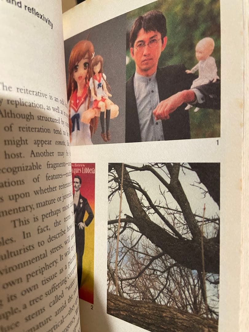 洋書 Horror in Architecture