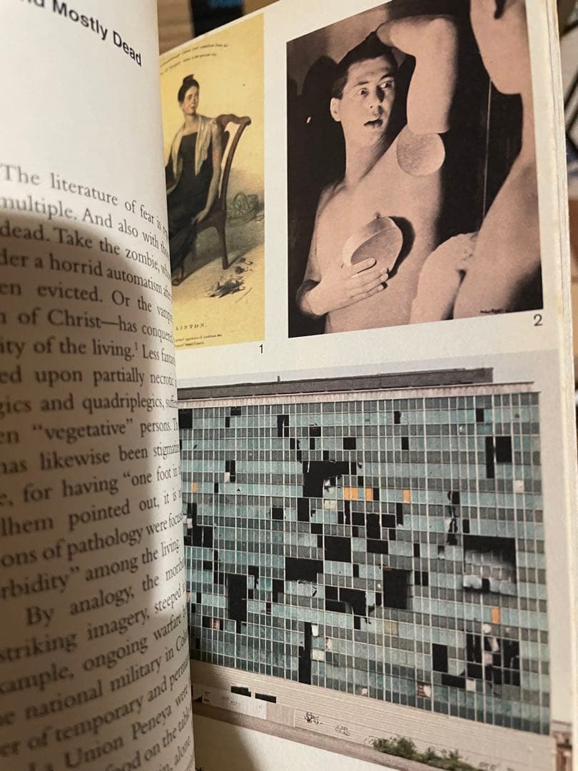 洋書 Horror in Architecture