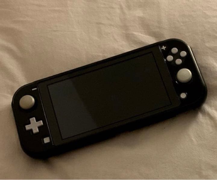 NintendoSwitchLight➕ケース付き