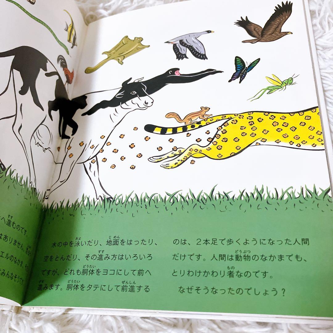 たくさんのふしぎ傑作集　福音館　まとめ売り