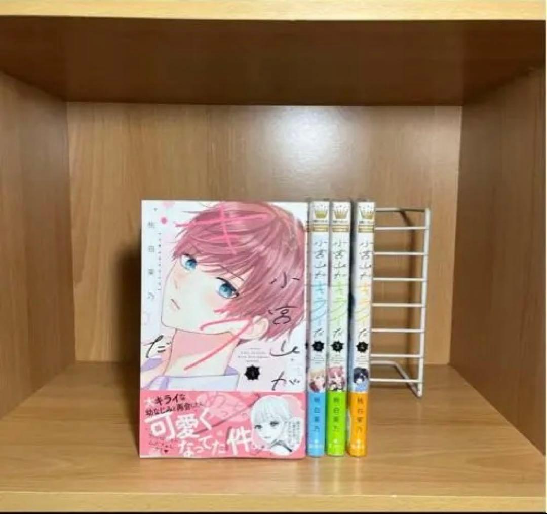 【最終値下げ】少女漫画 まとめ売り