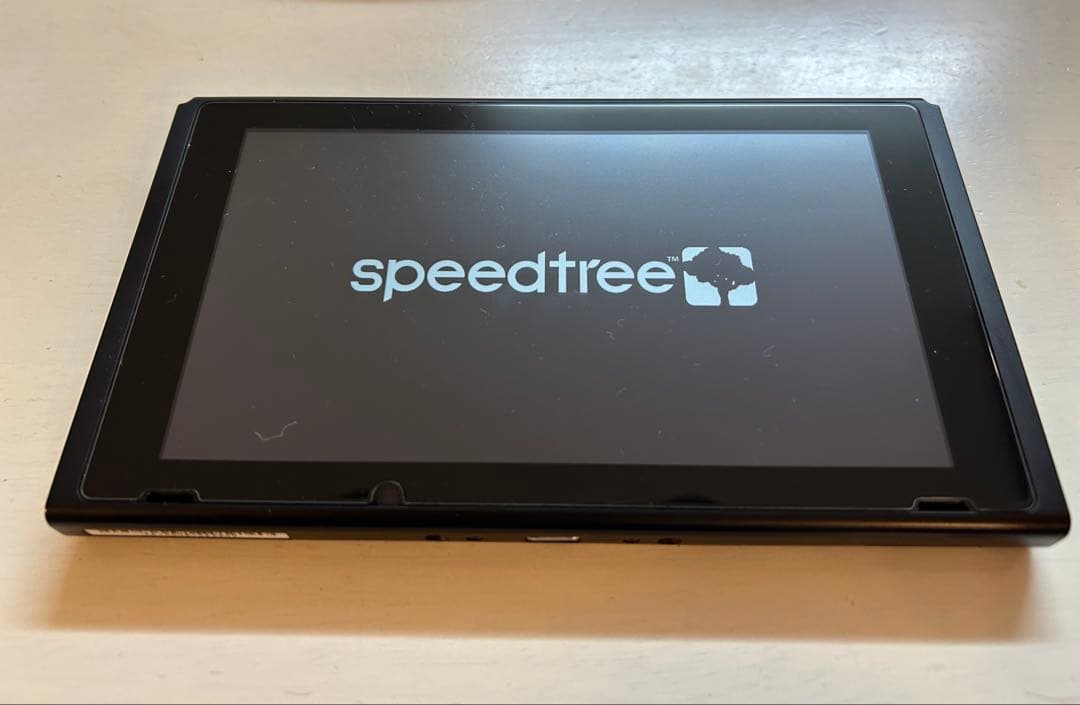 ニンテンドーSwitch 本体のみ【ジャンク品】