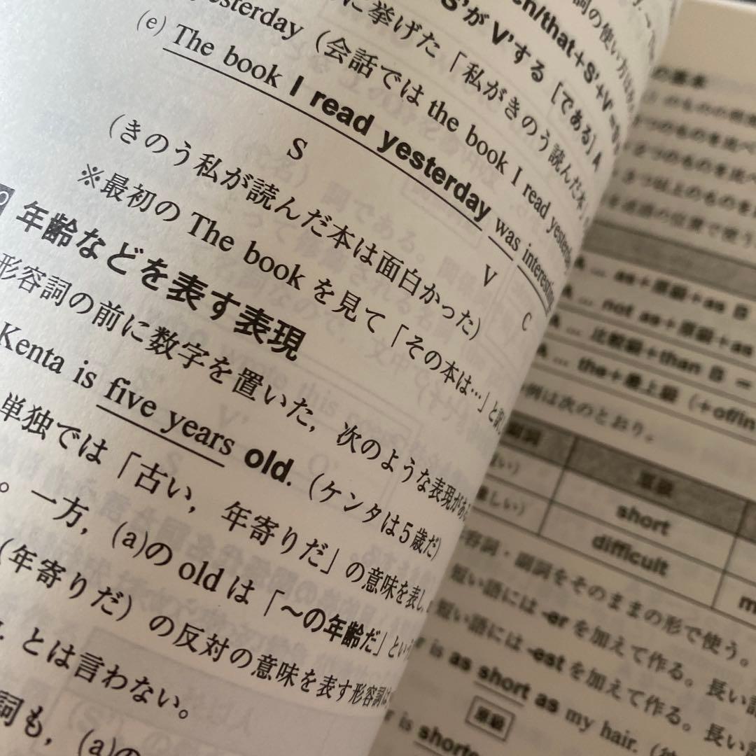 【入手困難】代ゼミテキスト Trinity総合英語基礎編Part2付録福崎伍郎