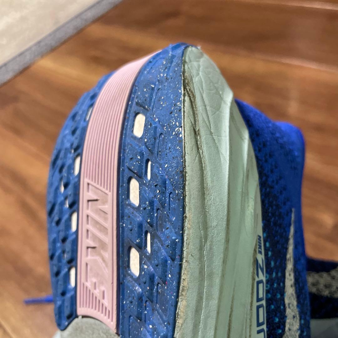 Nike ペガサスプラス　カラー:ブルー