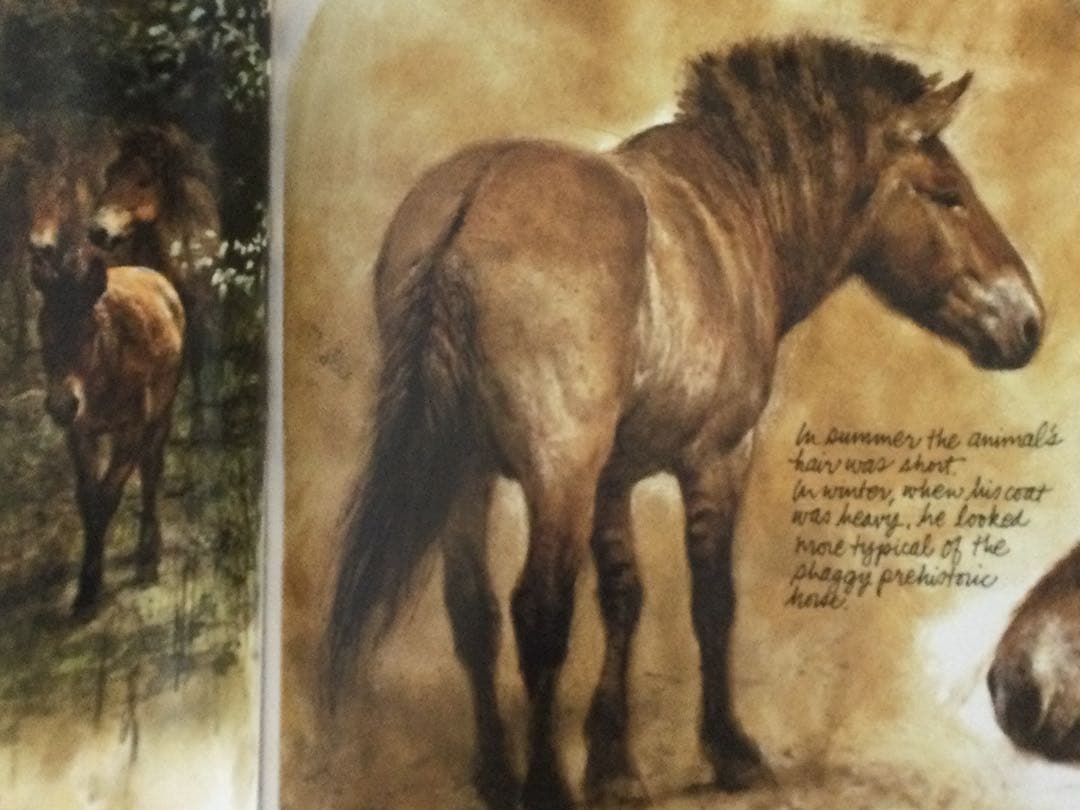 Journey to the Ice Age マンモスとその他の野生の動物