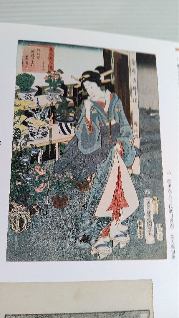 h*ん様 図録　特別展　江戸園芸花尽し