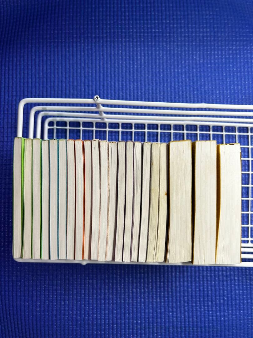 希少・MY FILIP BOOK 全21冊セット(両面刷り) 42種類　器械体操