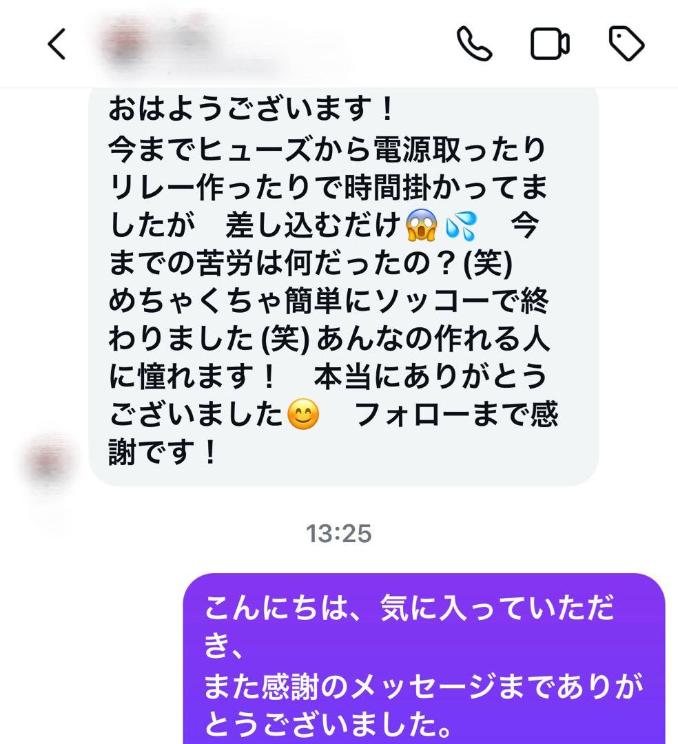 な*ん様 現行中期　デリカD5 （下グリル用）グリルマーカー　ACC・スモール分
