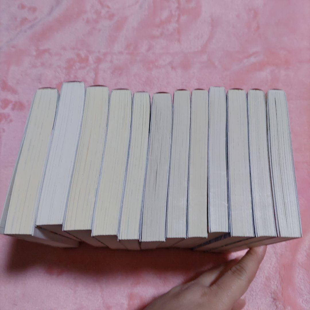 なんちゃってシンデレラ 王宮陰謀編 異世界で、王太子妃はじめました。12冊セット