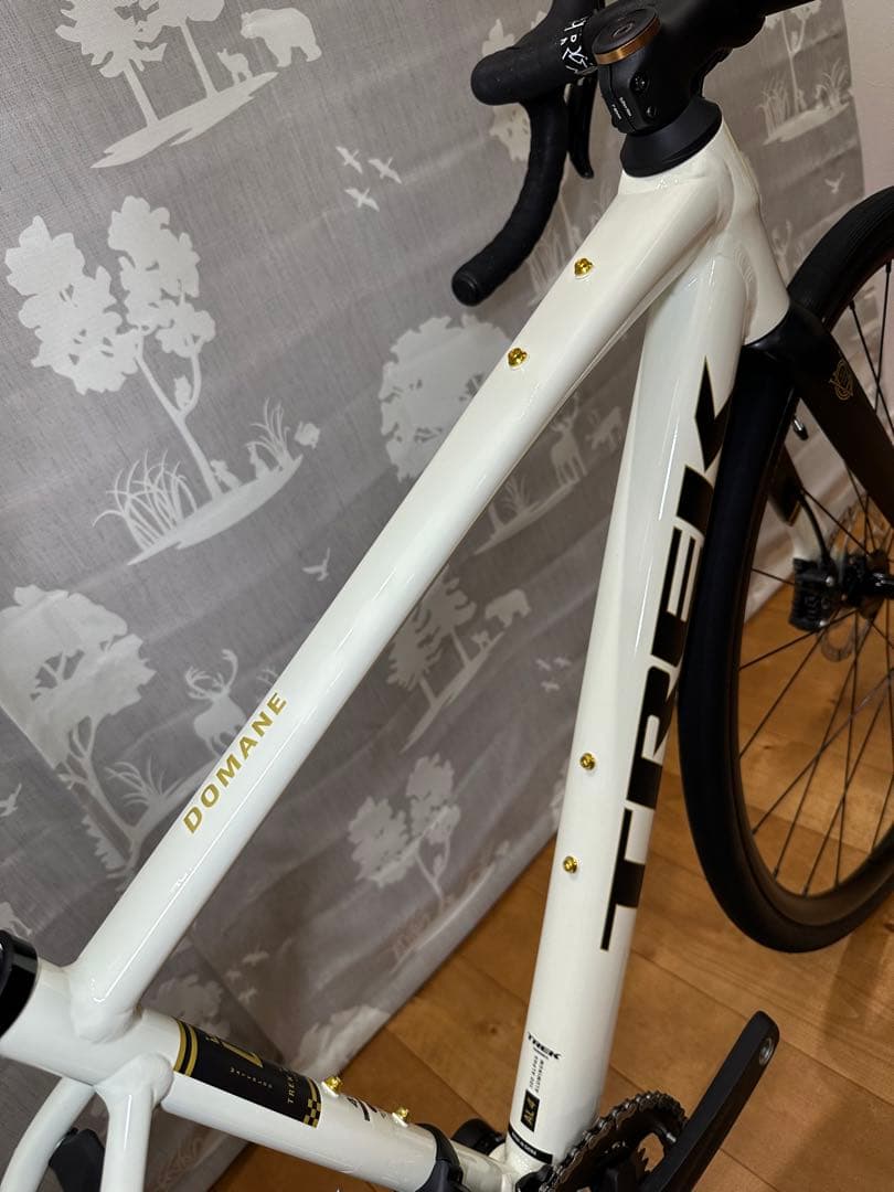 TREK Domane AL4 Gen4 49サイズ
