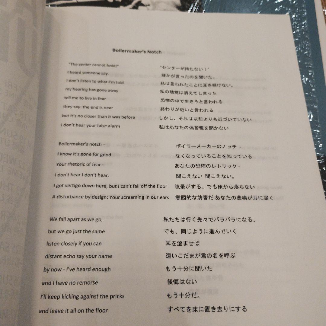 HAMMERED HULLS / CAREENING / DISCHORD名盤
